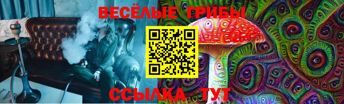 Галлюциногенные грибы GOLDEN TEACHER  Псилоцибиновые грибы прущие грибы  Лениногорск  Вход с VPN 