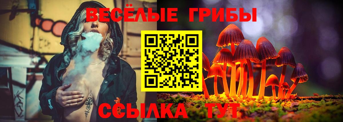 Псилоцибиновые грибы ЛСД Лениногорск